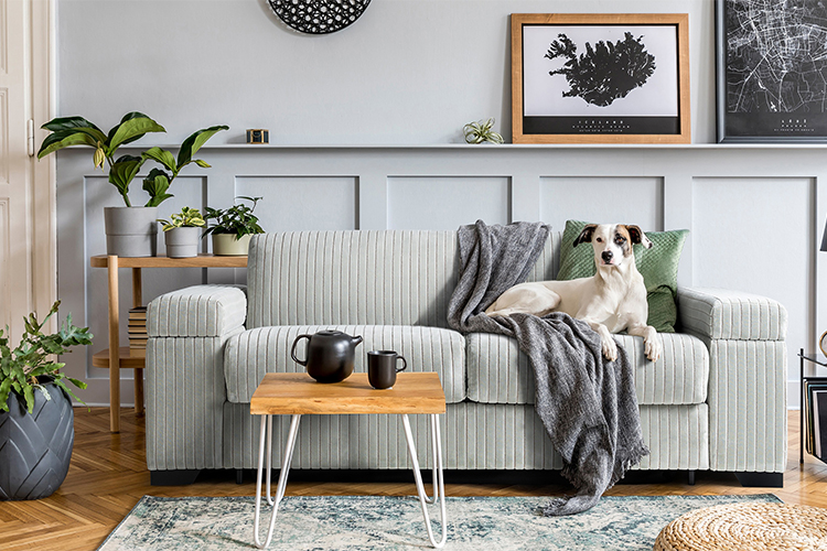 Forget the boring and old with these colorful living room ideas