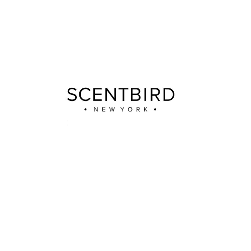 Save 55% Off On Your First Subscription