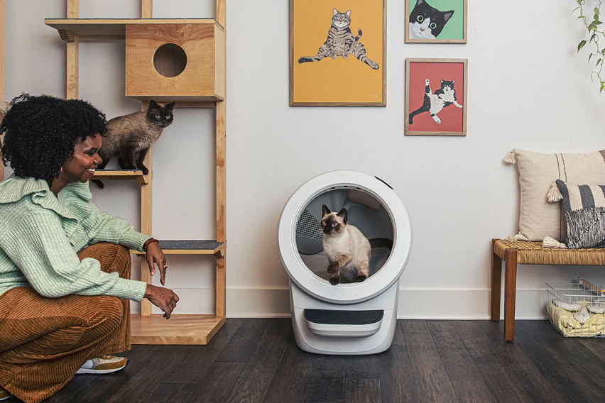 Litter Robot Featured Image